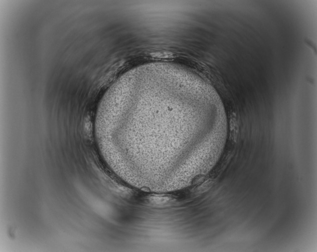 X0000100390614200806271359