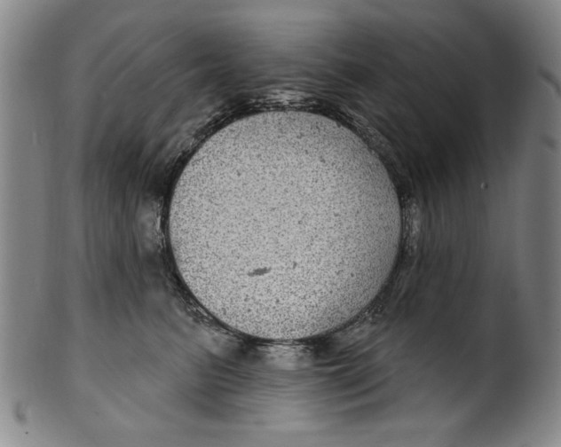 X0000100390615200806271359