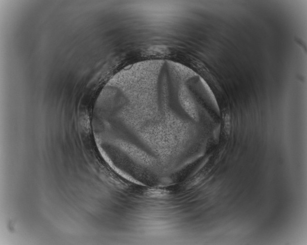 X0000100390617200806271358