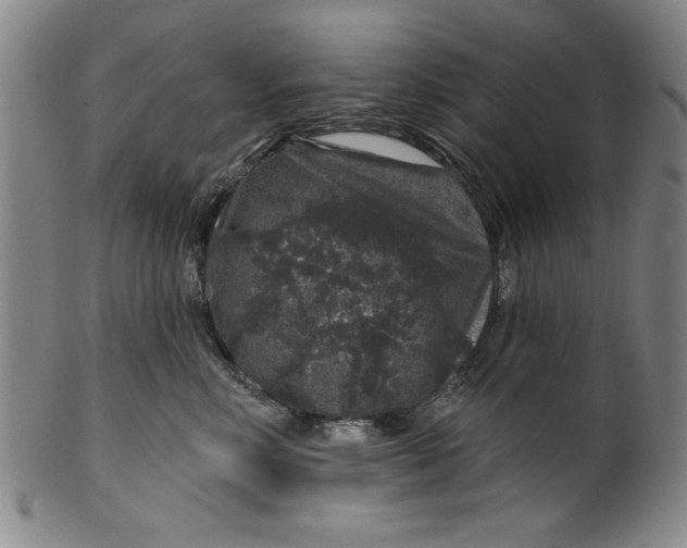 X0000100390618200806271358