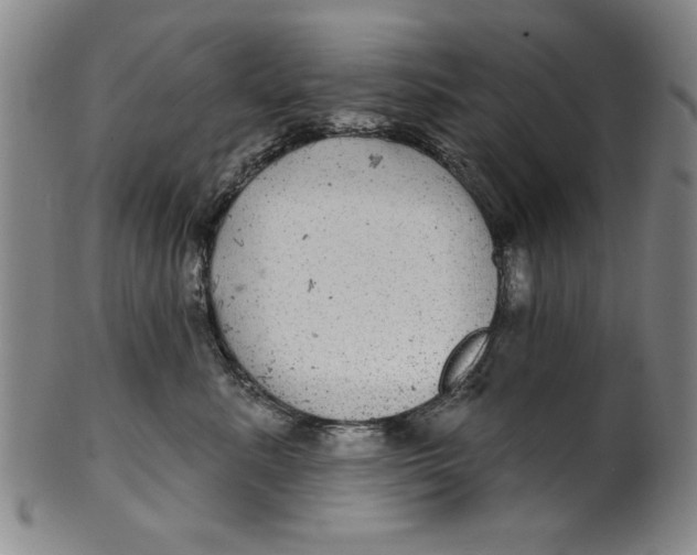 X0000100390619200806271358