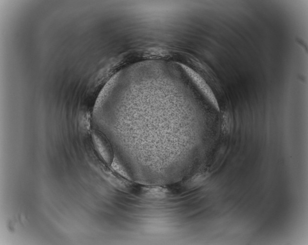 X0000100390621200806271358