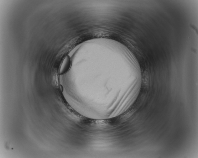 X0000100390622200806271358