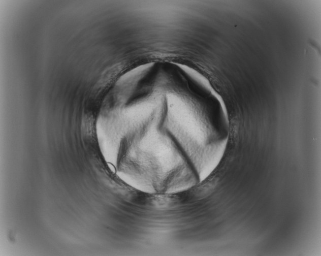 X0000100390623200806271358