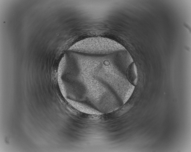 X0000100390624200806271358