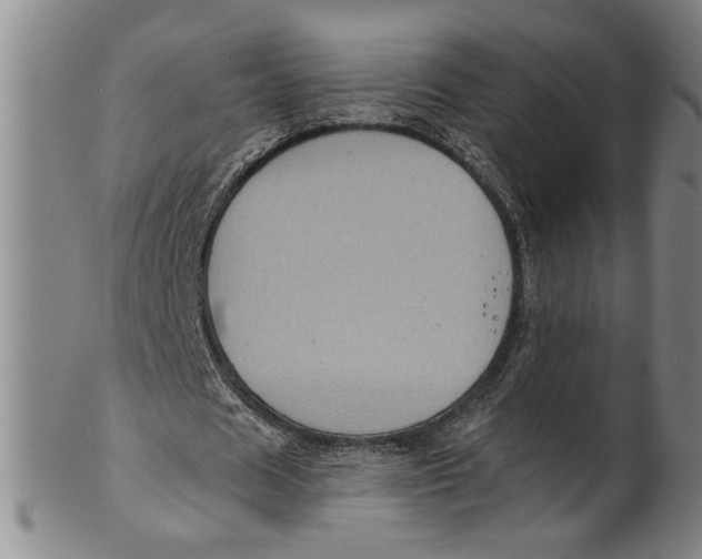 X0000100390625200806271358