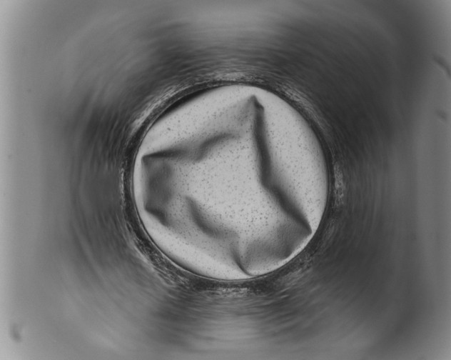 X0000100390626200806271358