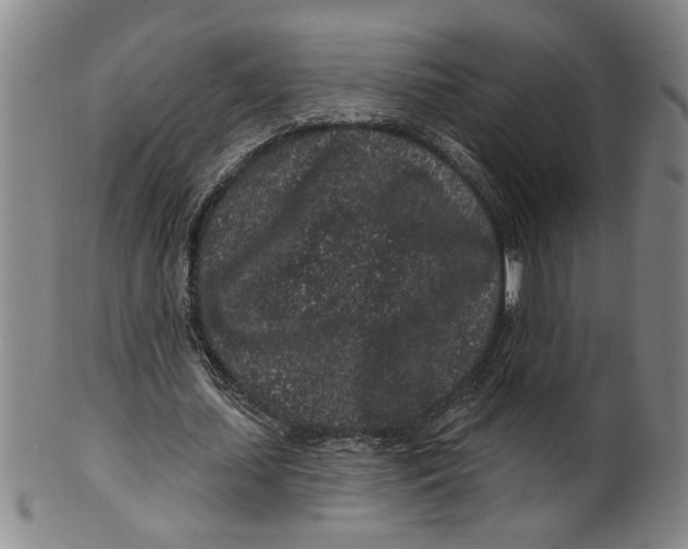 X0000100390627200806271358