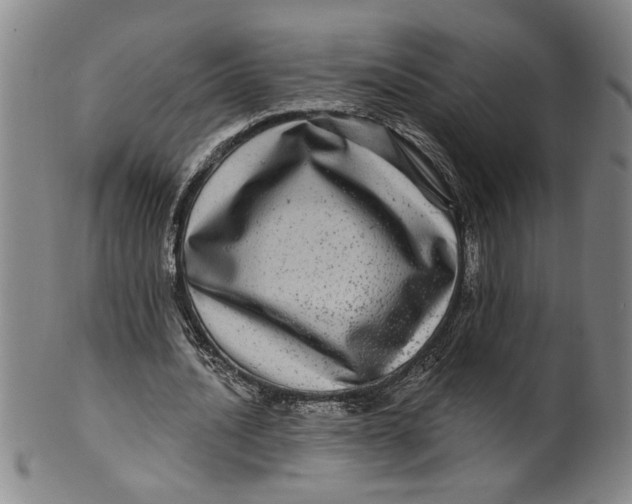 X0000100390628200806271358