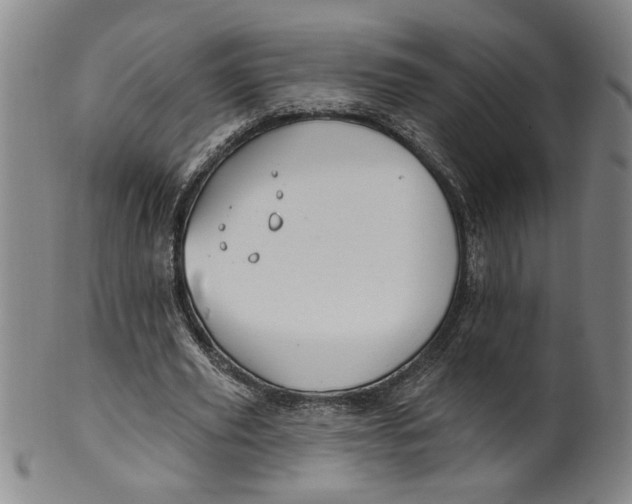 X0000100390629200806271358