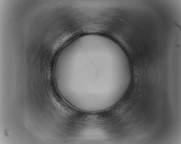 X0000100390631200806271358