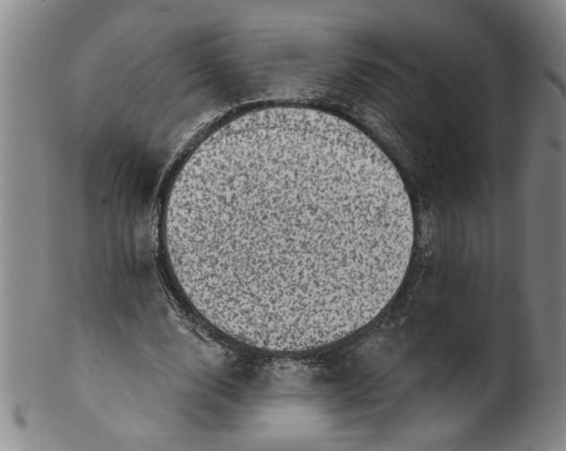 X0000100390632200806271358