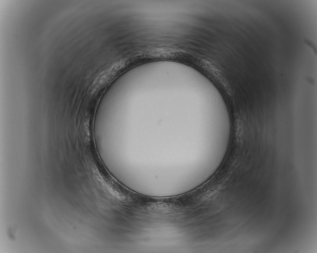 X0000100390633200806271358