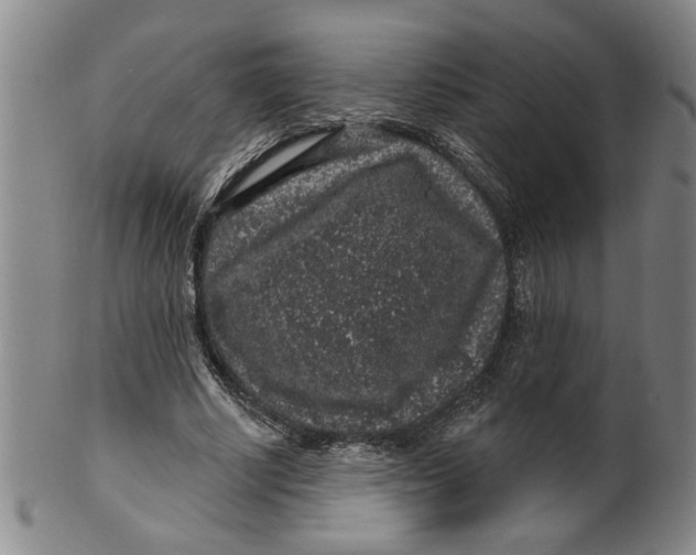 X0000100390634200806271358