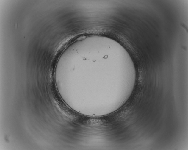 X0000100390636200806271358