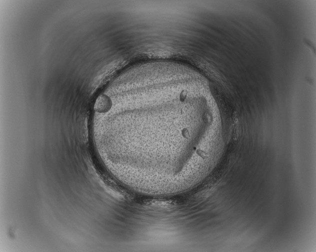 X0000100390638200806271358