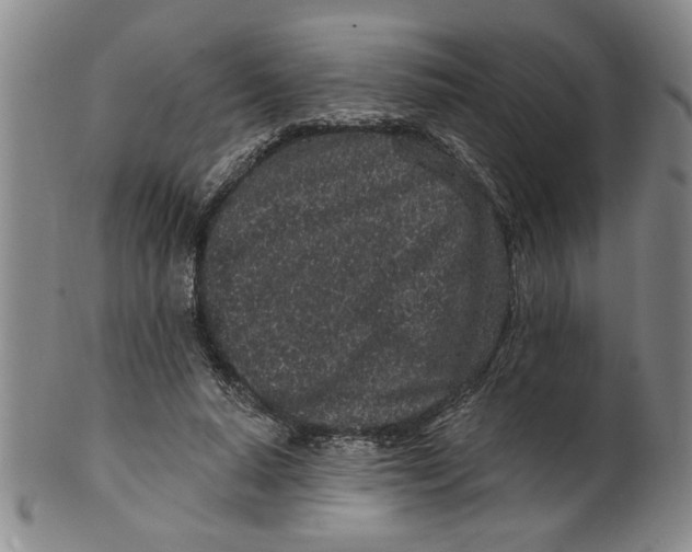 X0000100390640200806271358