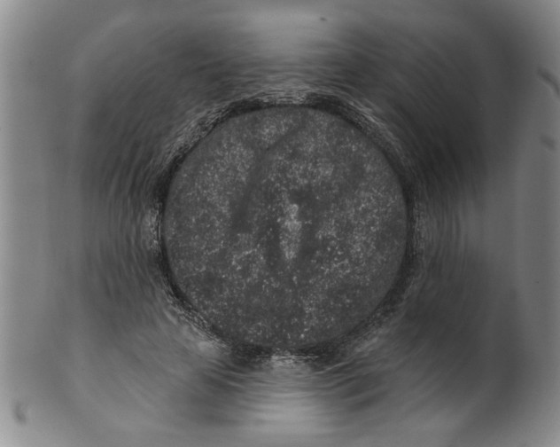 X0000100390641200806271358