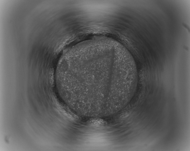 X0000100390642200806271358