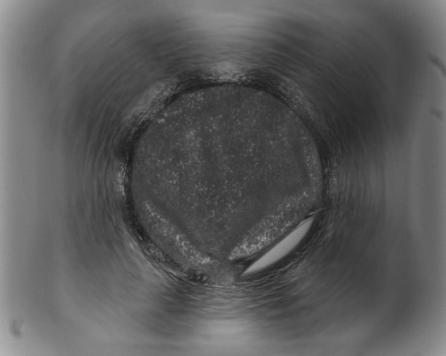 X0000100390643200806271358