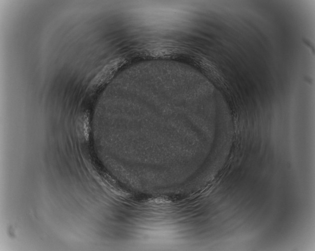 X0000100390644200806271358