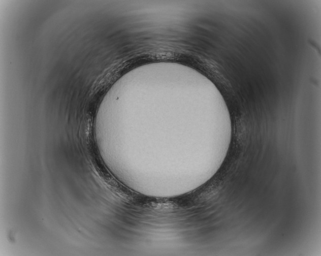 X0000100390645200806271358