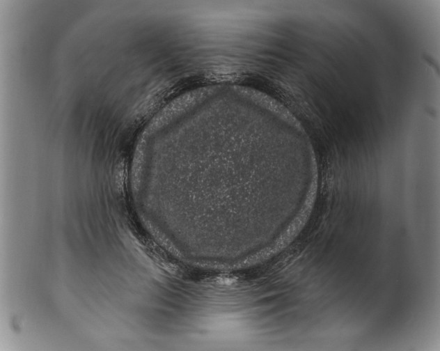 X0000100390647200806271358