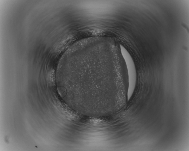 X0000100390650200806271358