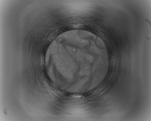 X0000100390651200806271358