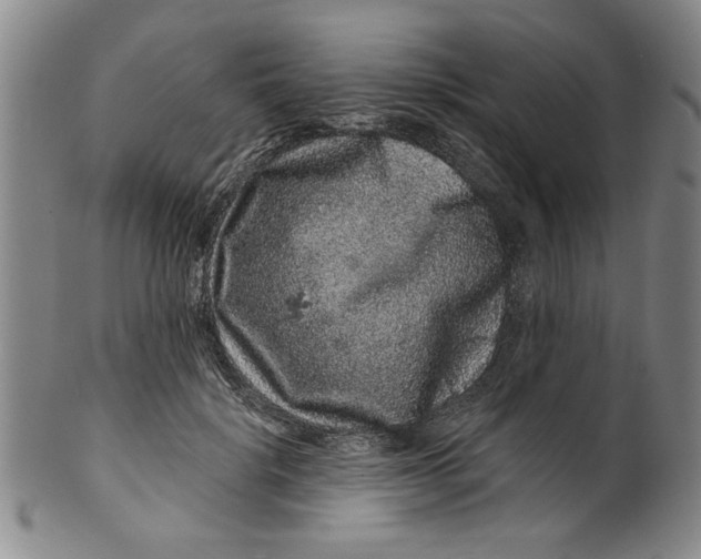 X0000100390652200806271358