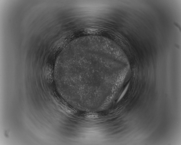 X0000100390653200806271358