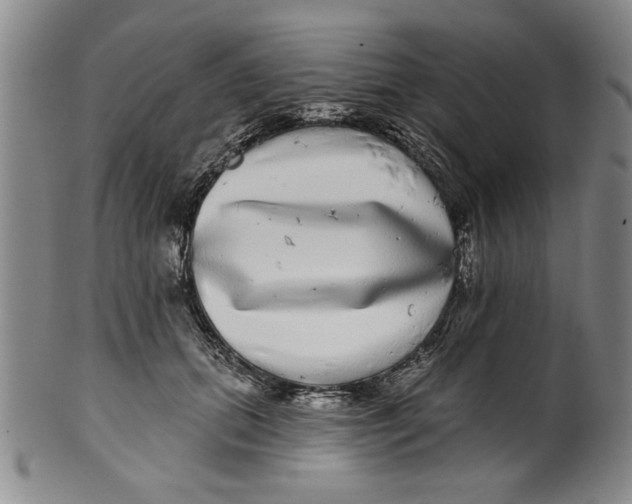 X0000100390655200806271358