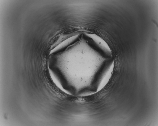 X0000100390656200806271358