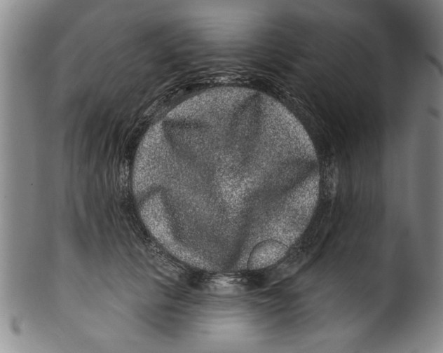 X0000100390657200806271358