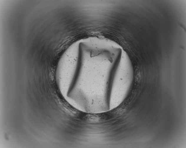 X0000100390658200806271358