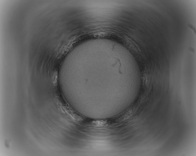 X0000100390660200806271358