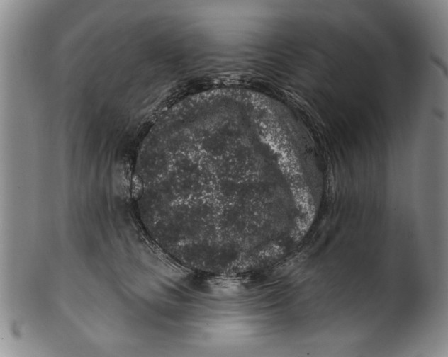 X0000100390661200806271358