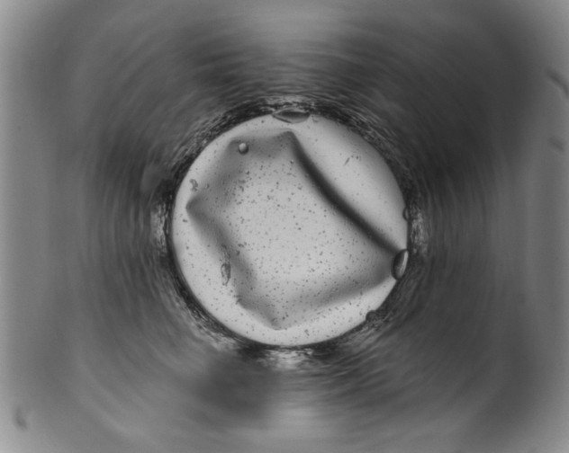 X0000100390662200806271358