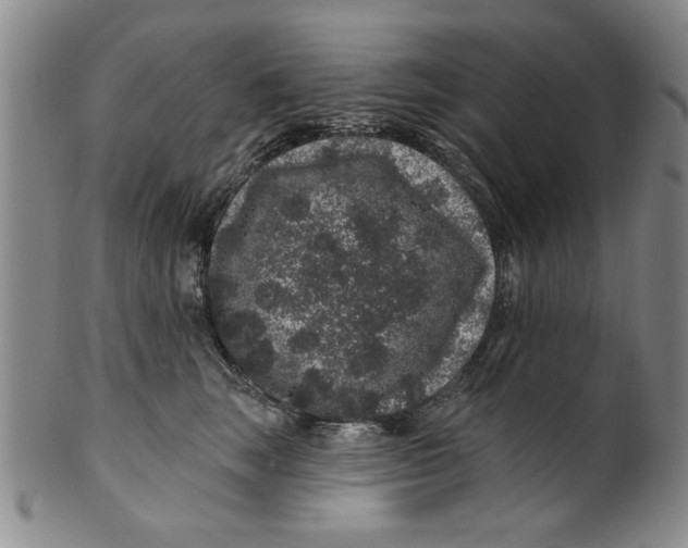 X0000100390663200806271358