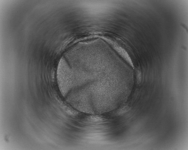 X0000100390668200806271358