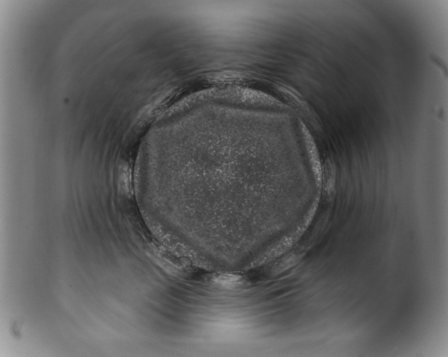 X0000100390669200806271358