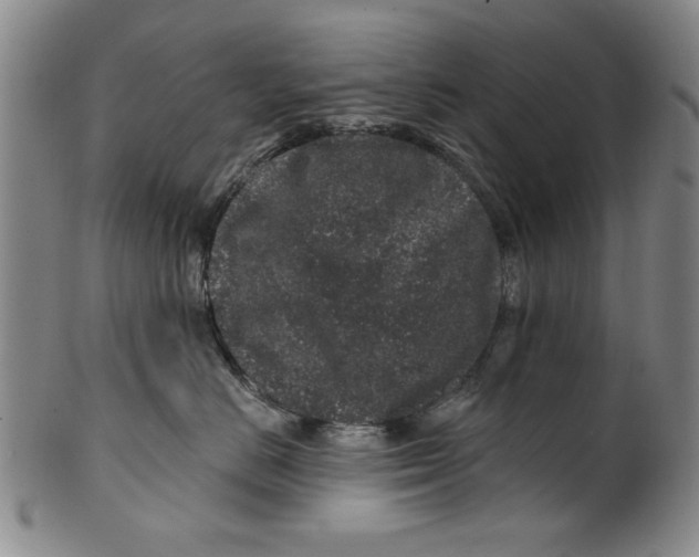 X0000100390670200806271358