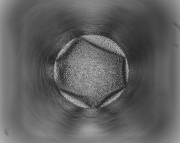 X0000100390671200806271358