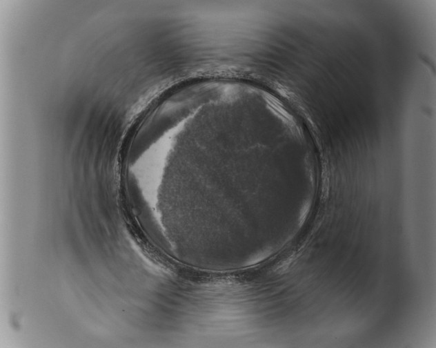 X0000100390674200806271358