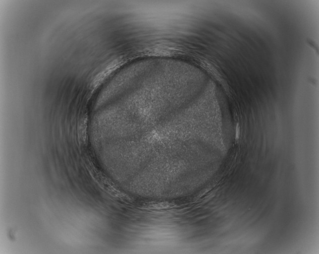 X0000100390675200806271358