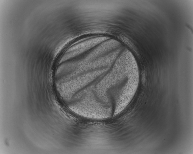 X0000100390676200806271358