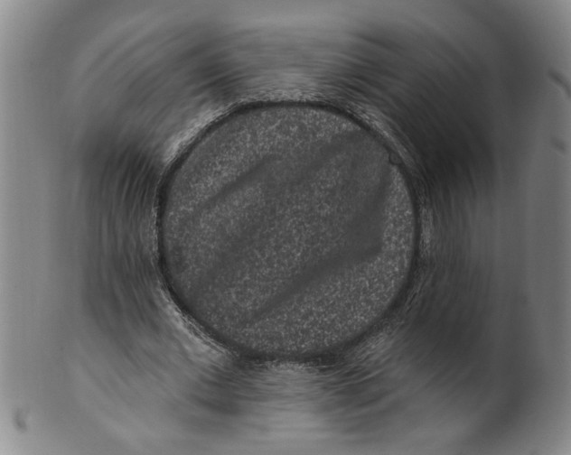 X0000100390677200806271358