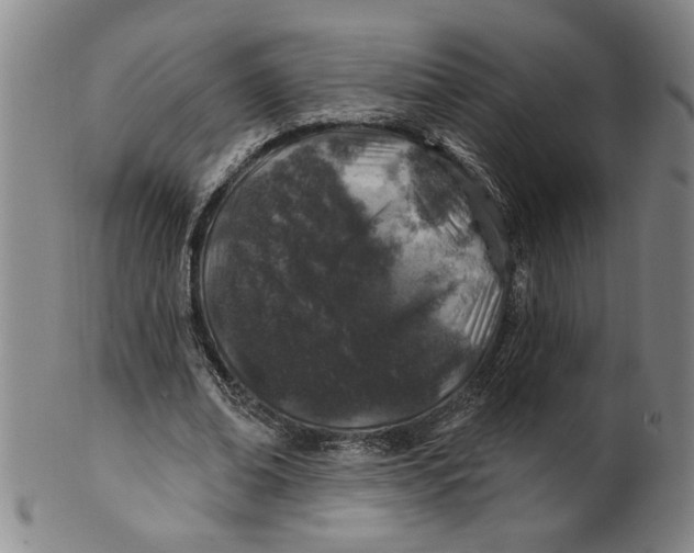 X0000100390678200806271358