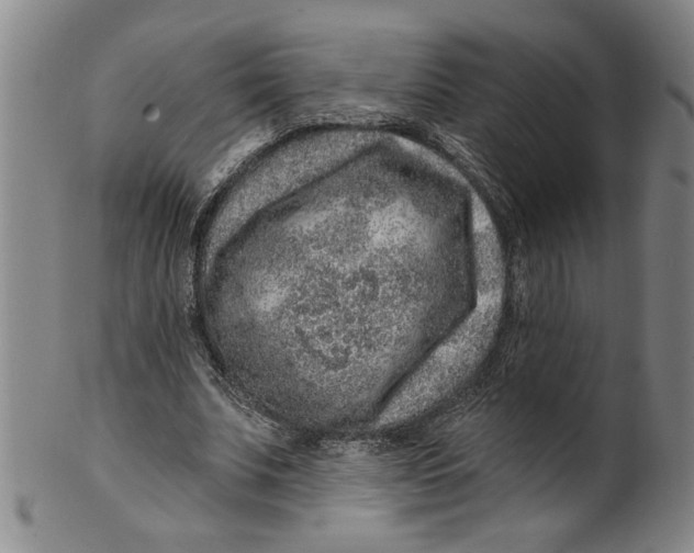 X0000100390679200806271358