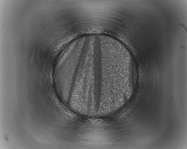 X0000100390681200806271358